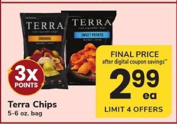 Terra Chips