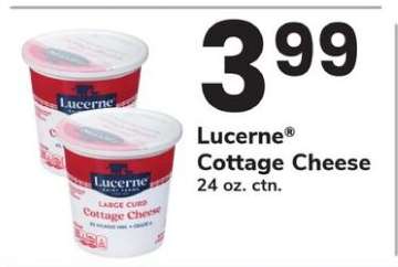 Lucerne Cottage Cheese