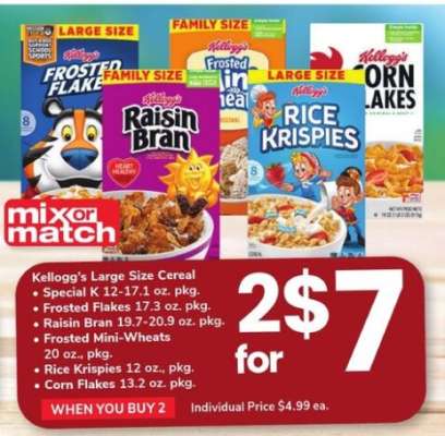 Kellogg's Large Size Cereal