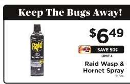 Raid Wasp & Hornet Spray