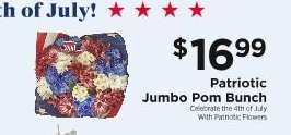 Patriotic Jumbo Pom Bunch