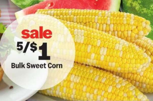 Bulk Sweet Corn