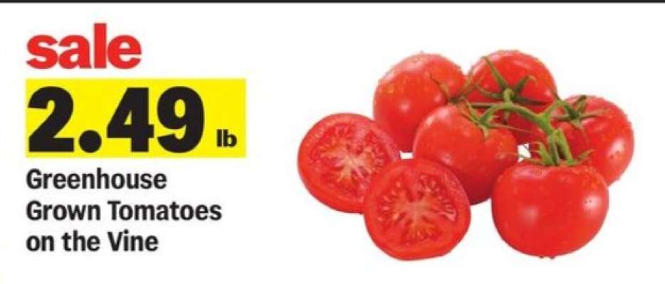Greenhouse Grown Tomatoes on the Vine