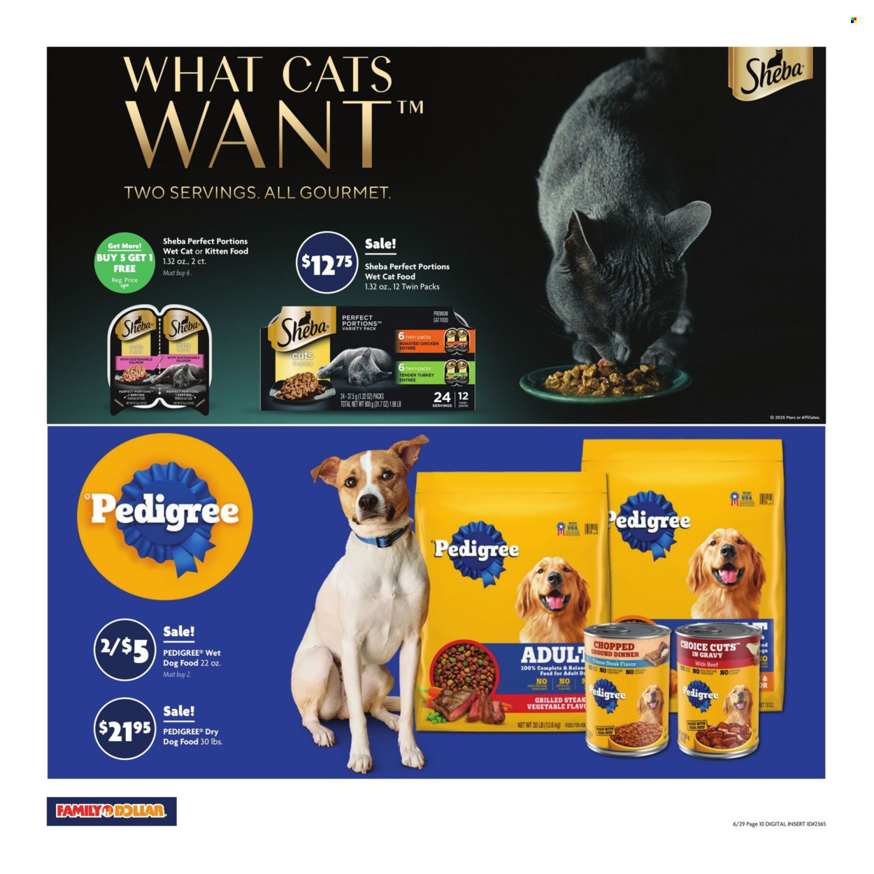 Family Dollar ad - 06/29/2025 - 07/05/2025. Page 16