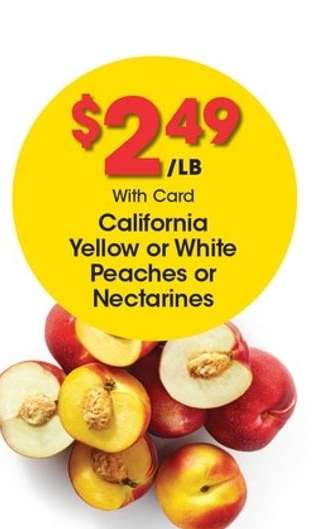 California Yellow or White Peaches or Nectarines