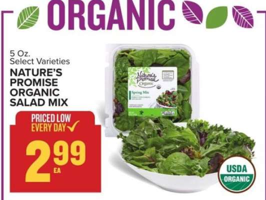 Nature's Promise Organic Salad Mix