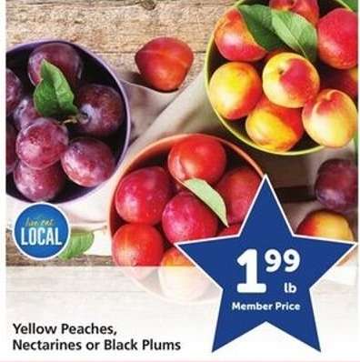 Yellow Peaches, Nectarines or Black Plums