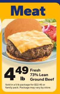 Fresh 73% Lean Ground Beef