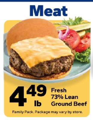 Fresh 73% Lean Ground Beef