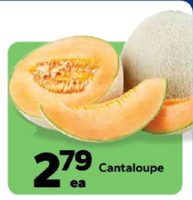 Cantaloupe