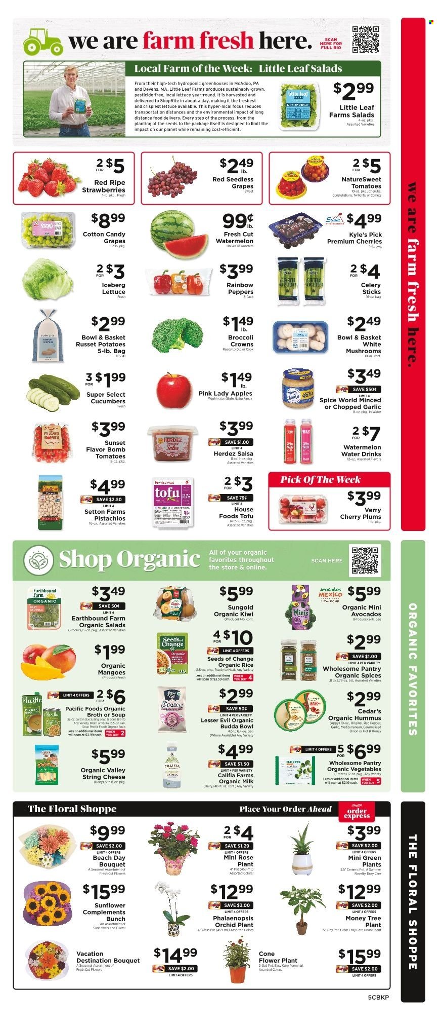 ShopRite ad - 07/04/2025 - 07/10/2025. Page 7