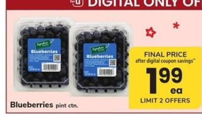 Blueberries