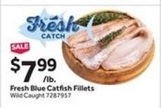 Fresh Blue Catfish Fillets