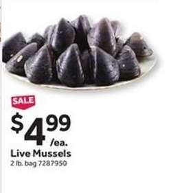 Live Mussels