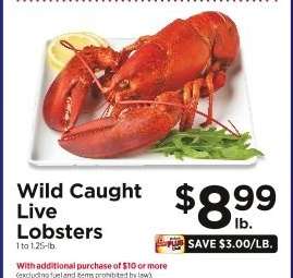 Wild Caught Live Lobsters