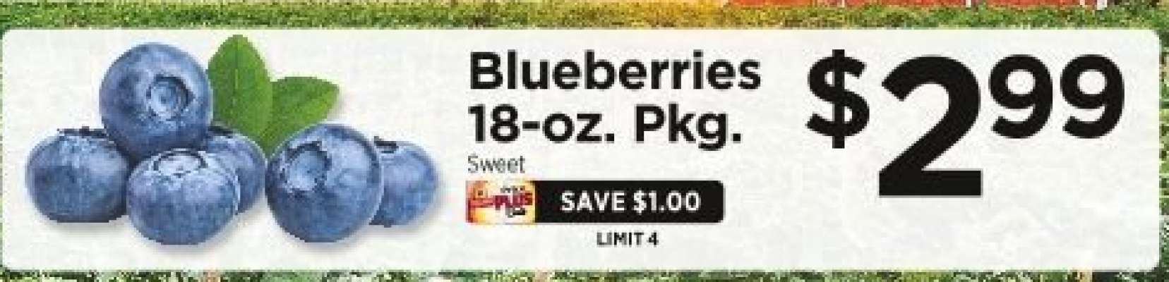 Blueberries