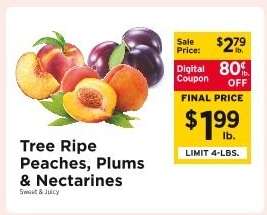 Tree Ripe Peaches, Plums & Nectarines
