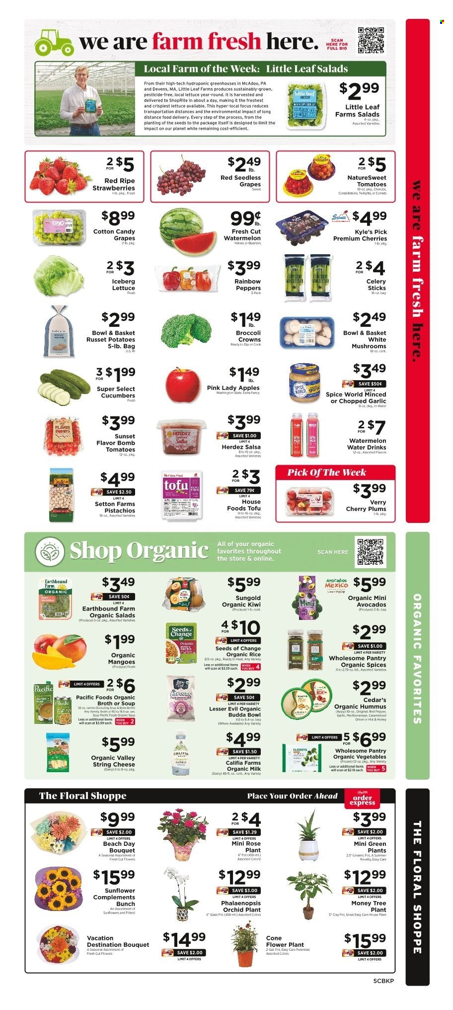 ShopRite ad - 07/06/2025 - 07/12/2025. Page 7