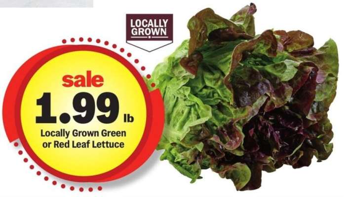 Locally Grown Green or Red Leaf Lettuce