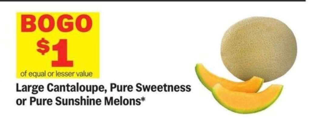 Large Cantaloupe, Pure Sweetness or Pure Sunshine Melons