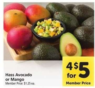 Hass Avocado or Mango