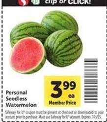 Personal Seedless Watermelon