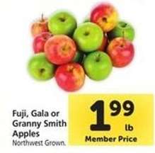 Fuji, Gala or Granny Smith Apples