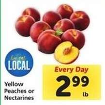 Yellow Peaches or Nectarines