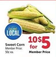 Sweet Corn