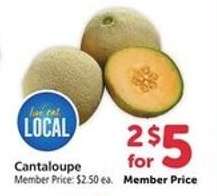 Cantaloupe