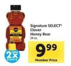 Signature Select Clover Honey Bear