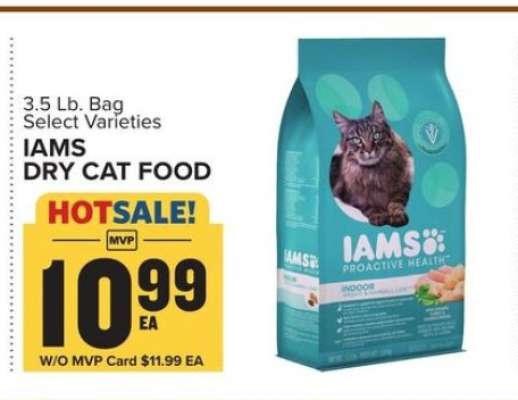 Iams Dry Cat Food
