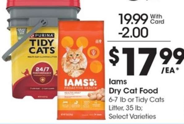 Iams Dry Cat Food