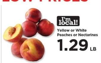 Yellow or White Peaches or Nectarines