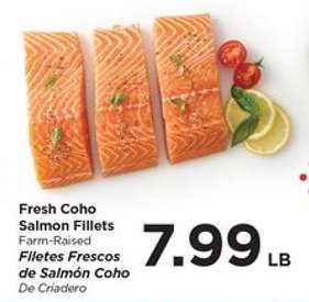 Fresh Coho Salmon Fillets