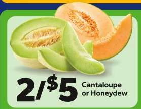 Cantaloupe Or Honeydew