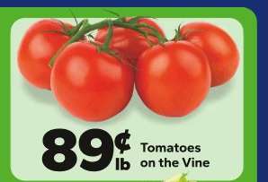 Tomatoes on the Vine