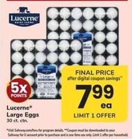 Lucerne Large Eggs