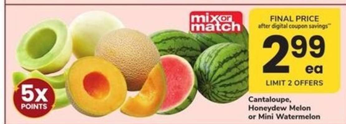 Cantaloupe, Honeydew Melon or Mini Watermelon
