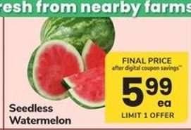 Seedless Watermelon