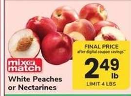 White Peaches or Nectarines