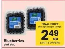 Blueberries