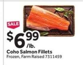 Coho Salmon Fillets
