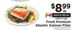 Fresh Premium Atlantic Salmon Fillet