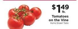 Tomatoes on the Vine