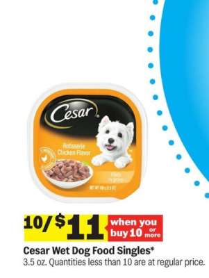 Cesar Wet Dog Food Singles*