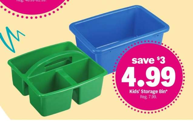 Kids' Storage Bin