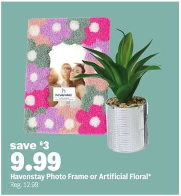 Havenstay Photo Frame or Artificial Floral