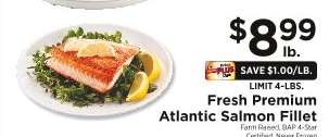 Fresh Premium Atlantic Salmon Fillet