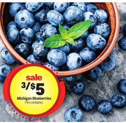 Michigan Blueberries
